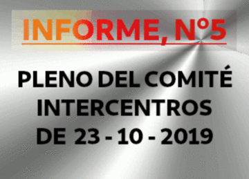 INFORME DEL PLENO DEL COMITÉ INTERCENTROS DE 23-10-2019